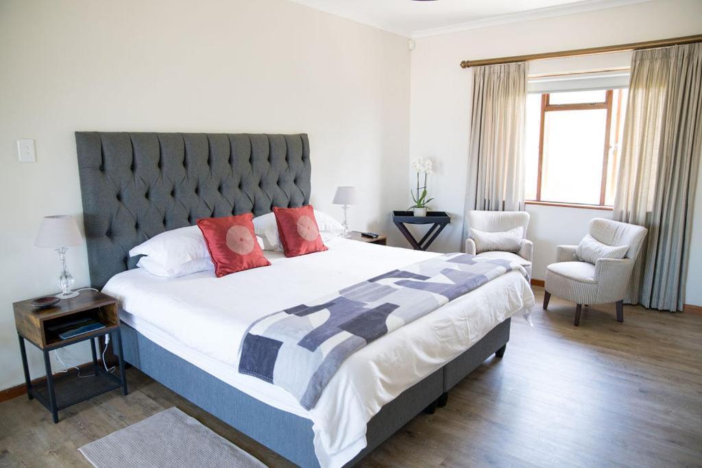 Penguino Guesthouse Hermanus Extérieur photo